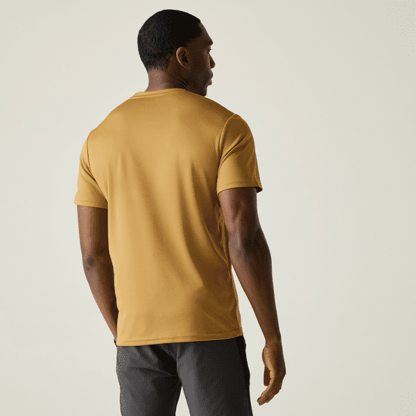 Regatta  Fingal T-Shirt | Wood Brown RMT341
