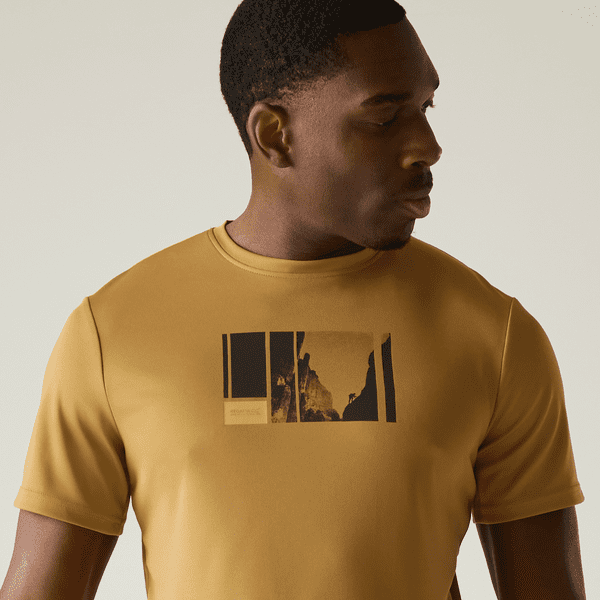 Regatta  Fingal T-Shirt | Wood Brown RMT341