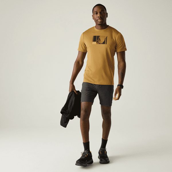 Regatta  Fingal T-Shirt | Wood Brown RMT341