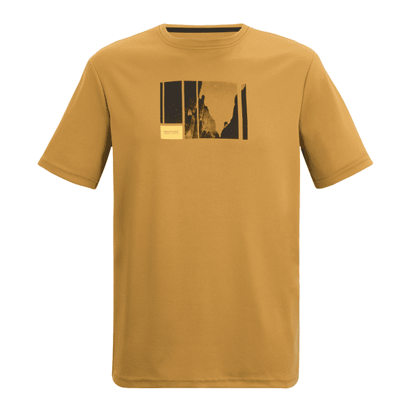 Regatta  Fingal T-Shirt | Wood Brown RMT341