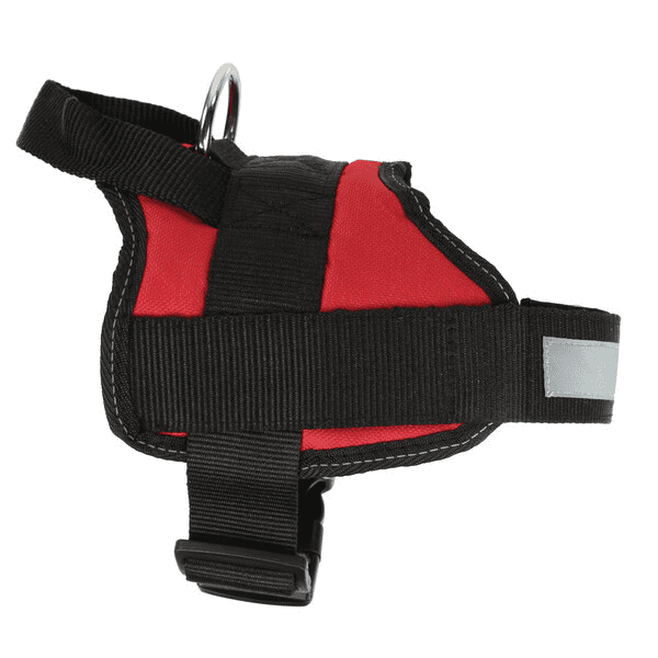 Regatta  Reflective Dog Harness Red | RDE002