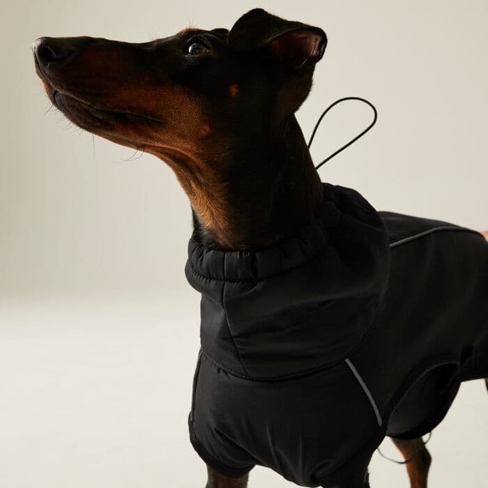 Regatta Softshell Dog Coat | Black RDC016