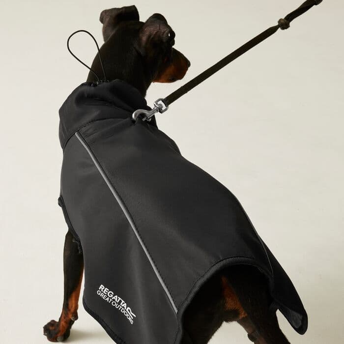 Regatta Softshell Dog Coat | Black RDC016