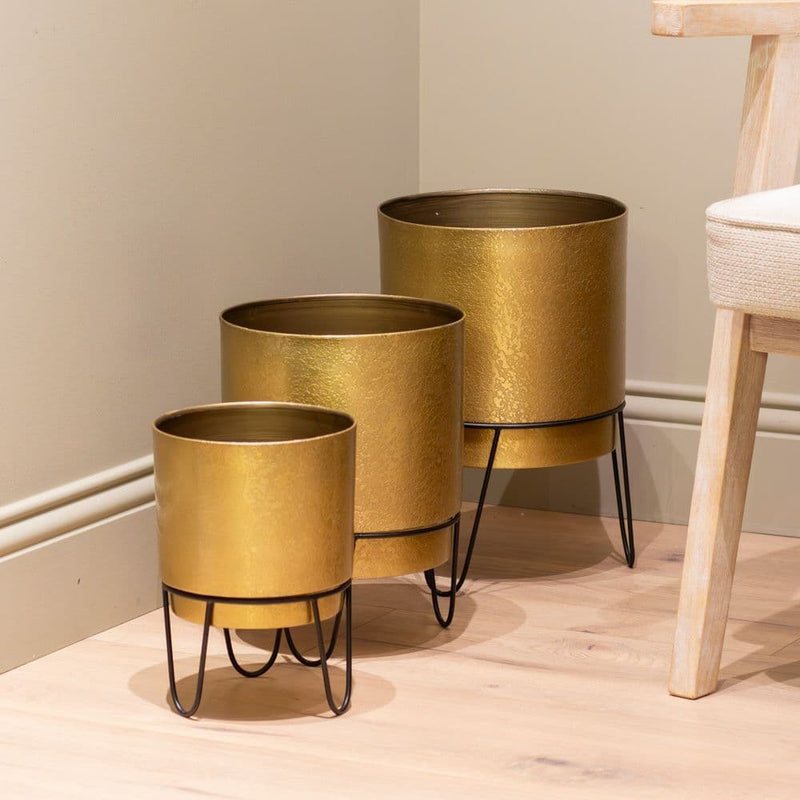 TARA Anisha Plater | Gold TL629