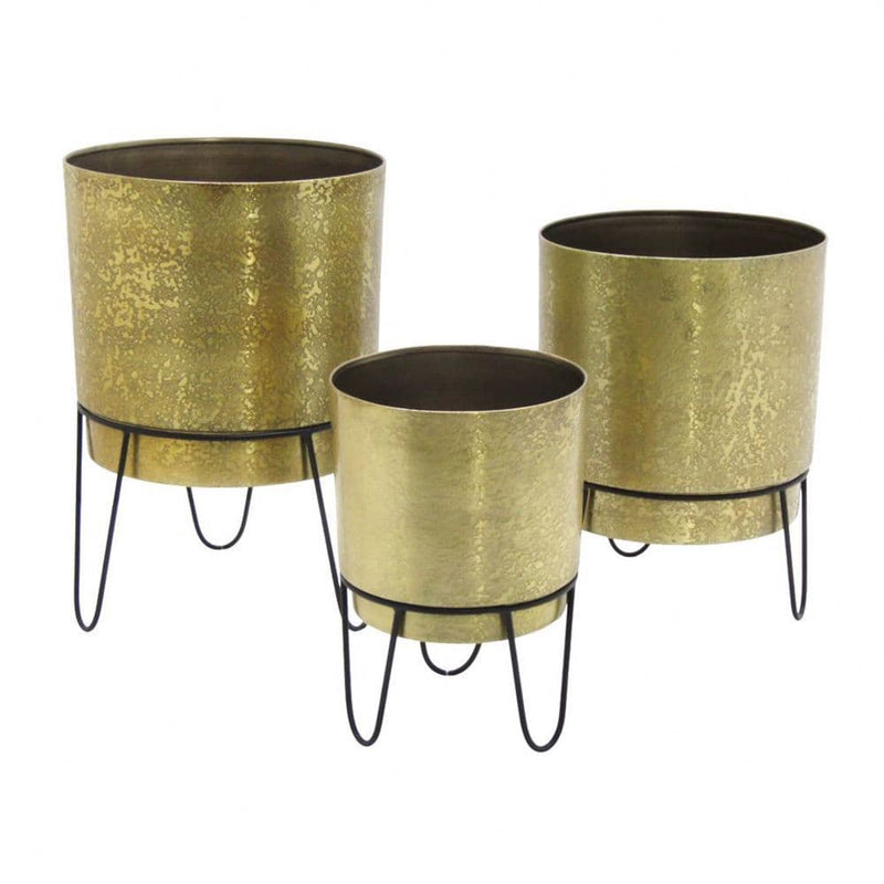 TARA Anisha Plater | Gold TL629