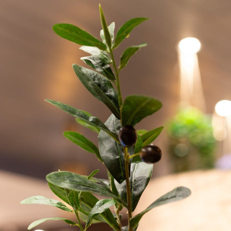 TARA Artificial Olive Tree 150cm | Green TL6573