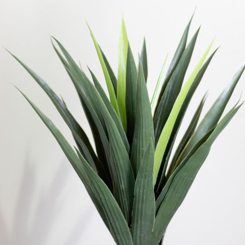 TARA Artificial Yucca Tree | Green 120cm TL6938