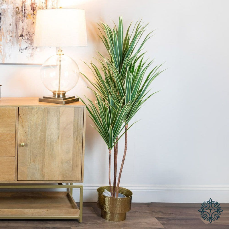 TARA Dracaena 120cm  | Green TL6104