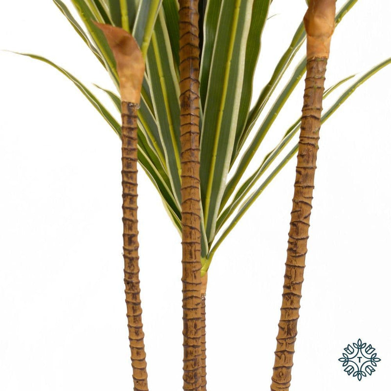 TARA Dracaena 120cm  | Green TL6104