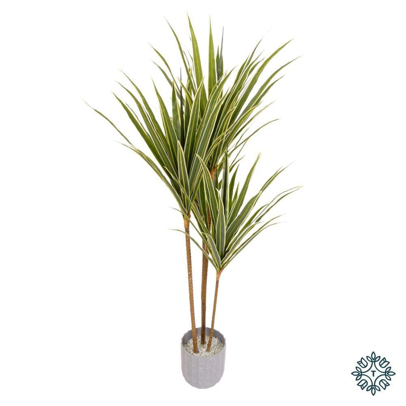 TARA Dracaena 120cm  | Green TL6104