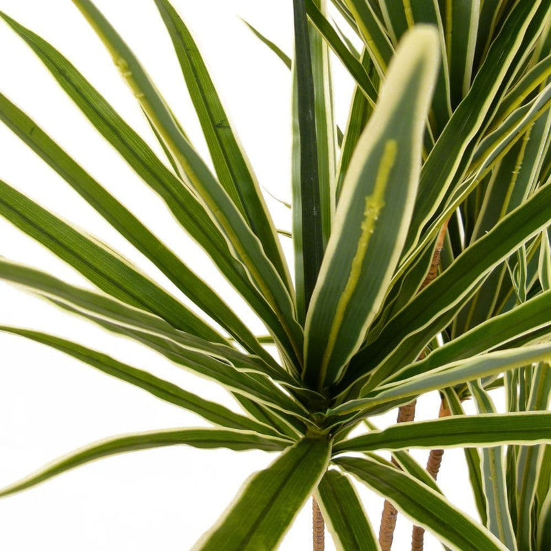 TARA Dracaena  Artificial Tree  | Green TL6013