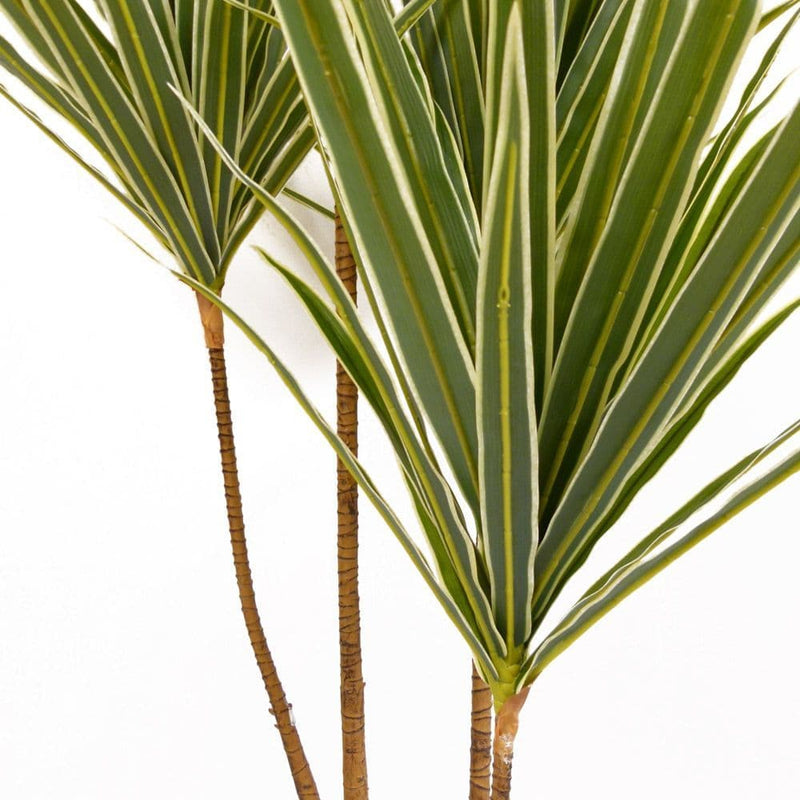 TARA Dracaena  Artificial Tree  | Green TL6013