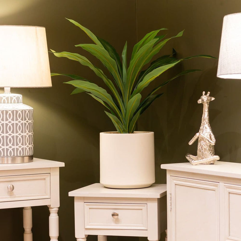 TARA Dracaena with pot | White TL6574