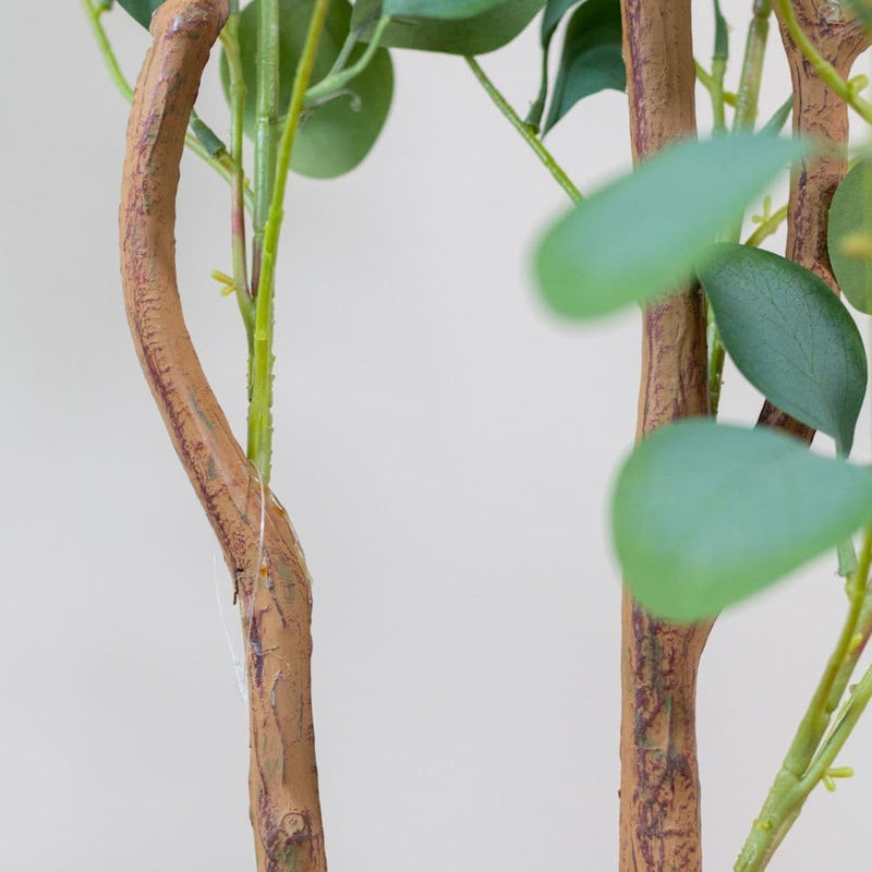TARA Eucalyptus Tree 130cm | TL6942