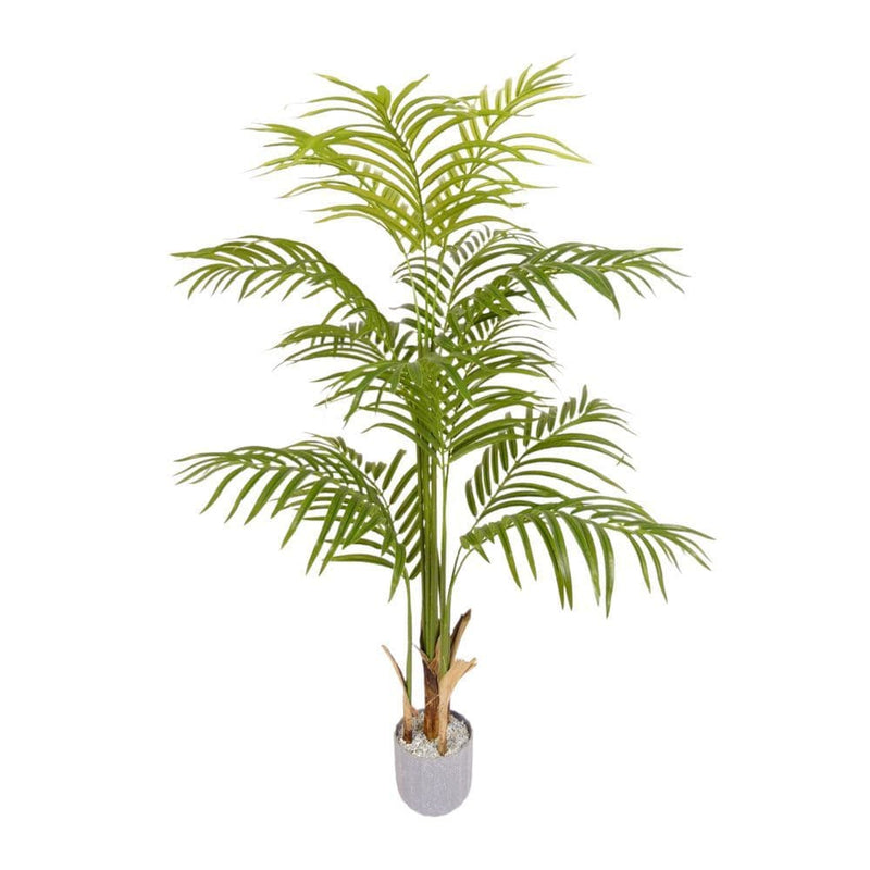 TARA Lady Palm Tree 110cm |  TL6093