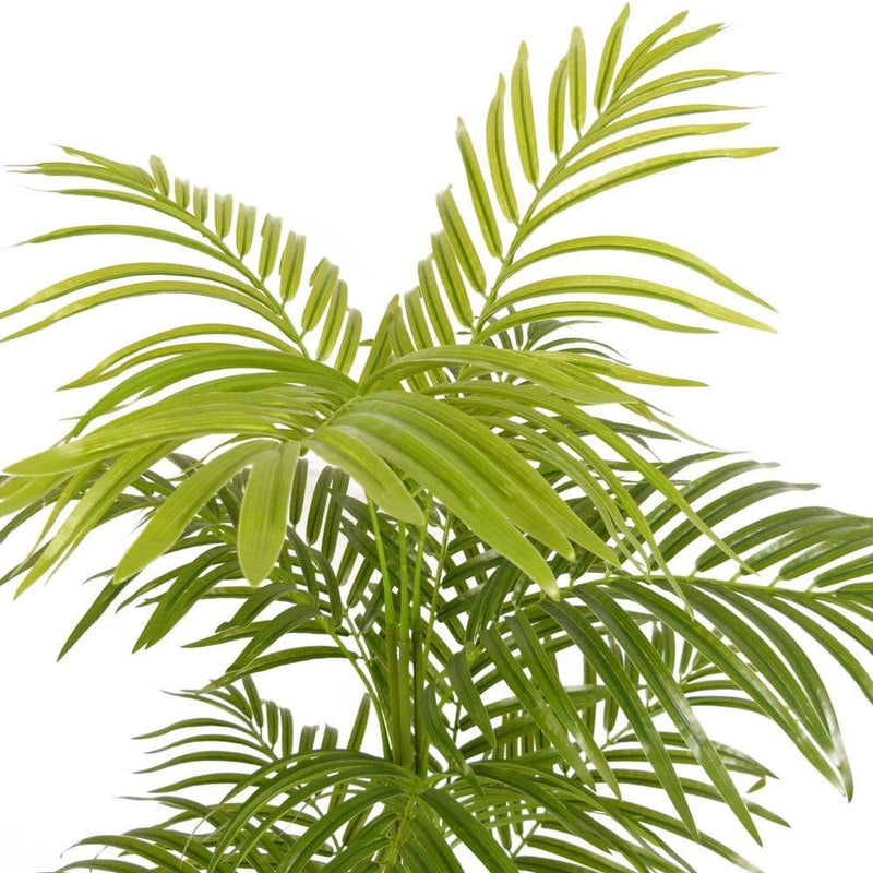 TARA Lady Palm Tree 110cm |  TL6093
