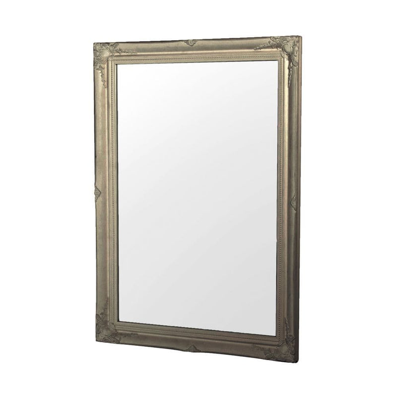 TARA  Lyon Mirror 60X90CM   | Champagne TL5799