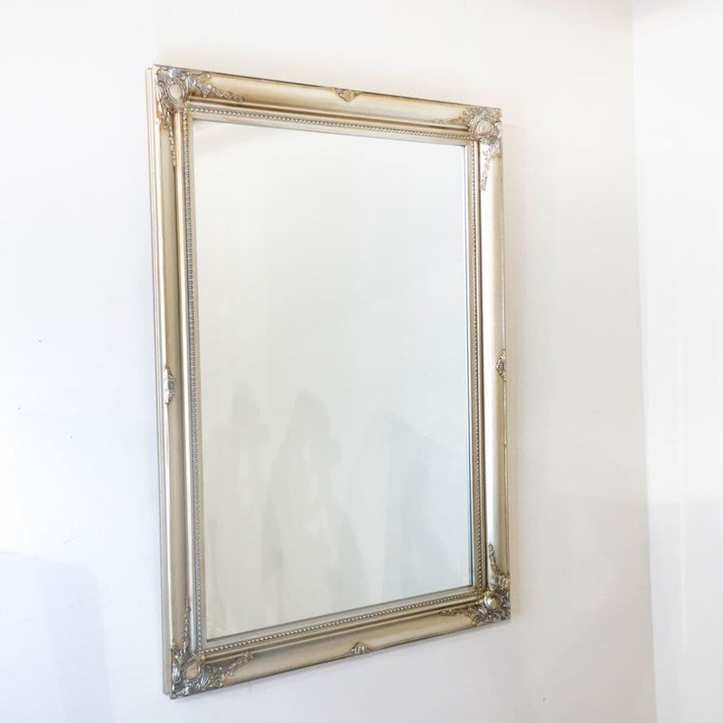 TARA  Lyon Mirror 60X90CM   | Champagne TL5799