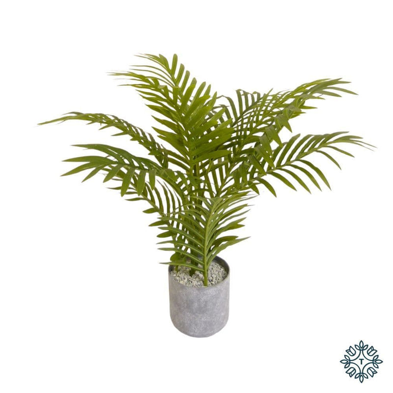 TARA Mini Palm 45cm | TL6097