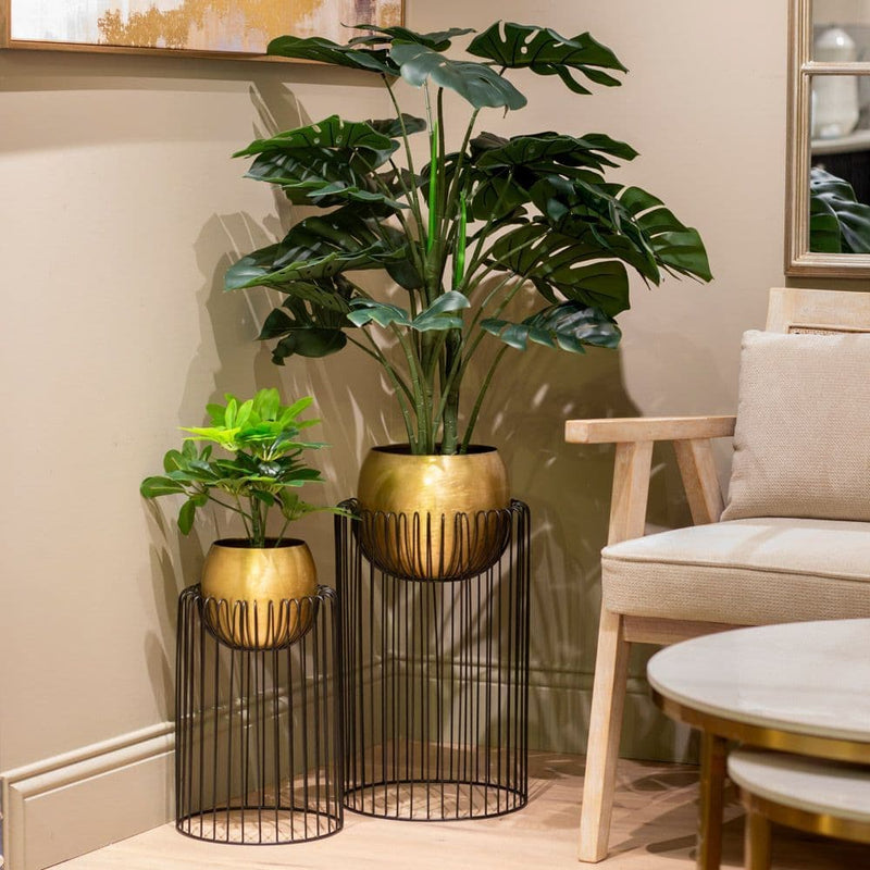 TARA Misha Plater |Black/ Gold TL623