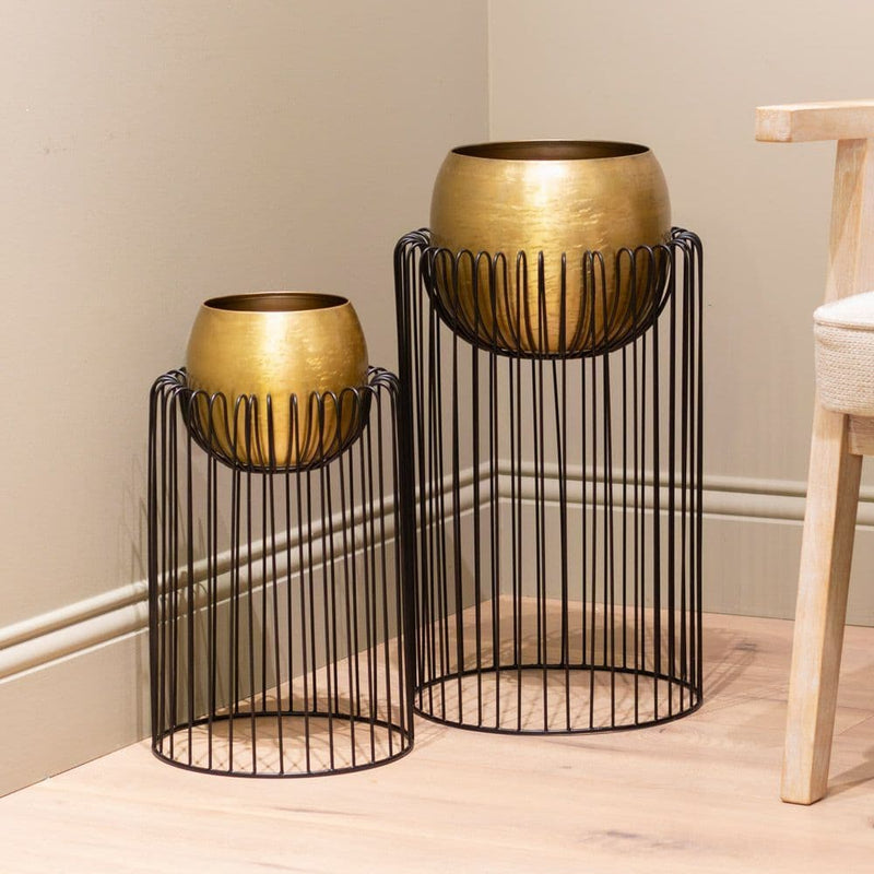 TARA Misha Plater |Black/ Gold TL623