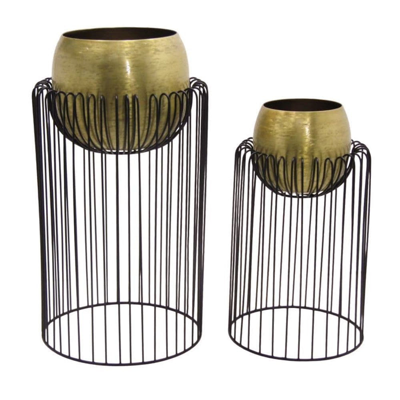 TARA Misha Plater |Black/ Gold TL623