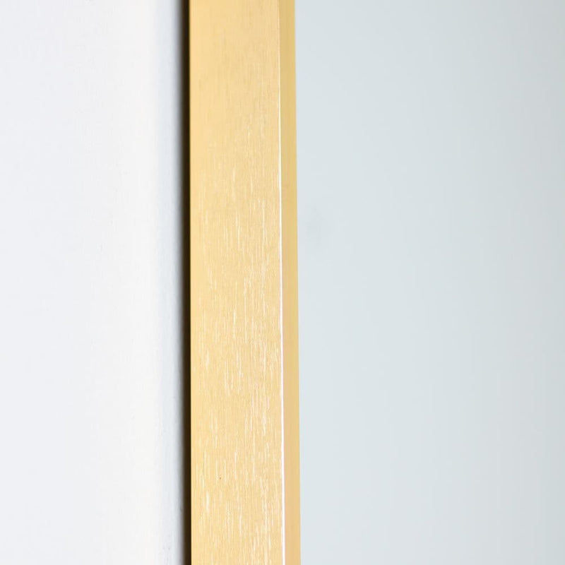 TARA  Modena Pill Shape  Wall Mirror 40x120cm  | Gold TL7232