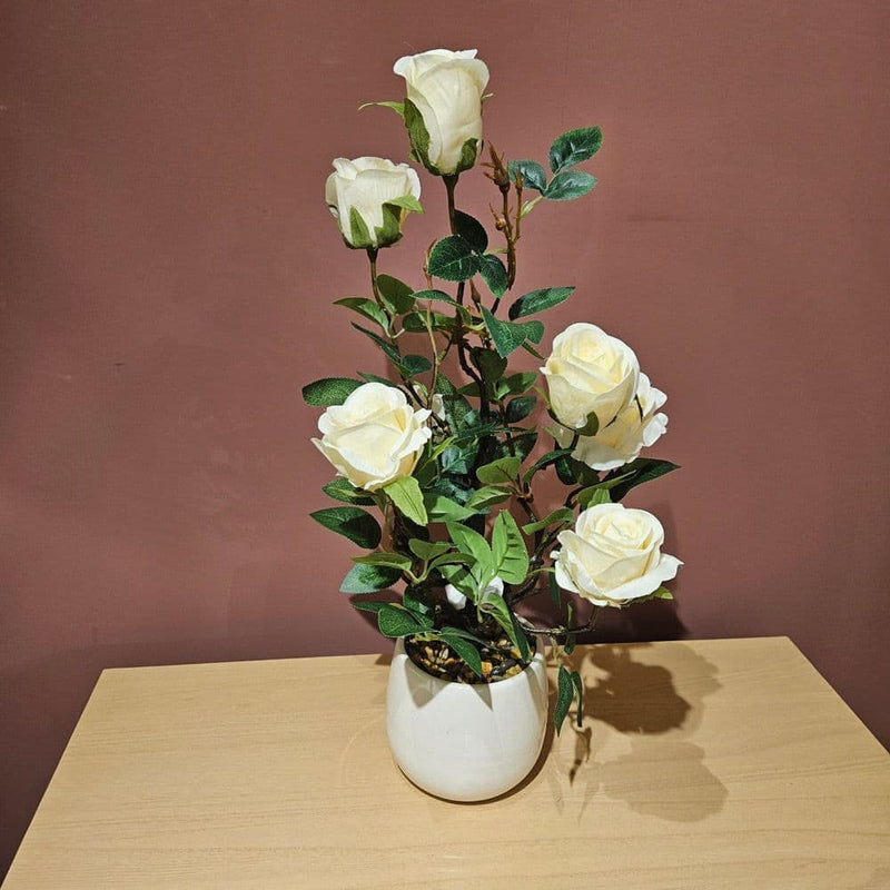 TARA Potted rose plant | White TL6530