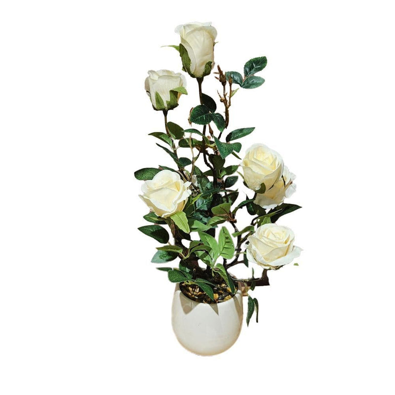TARA Potted rose plant | White TL6530