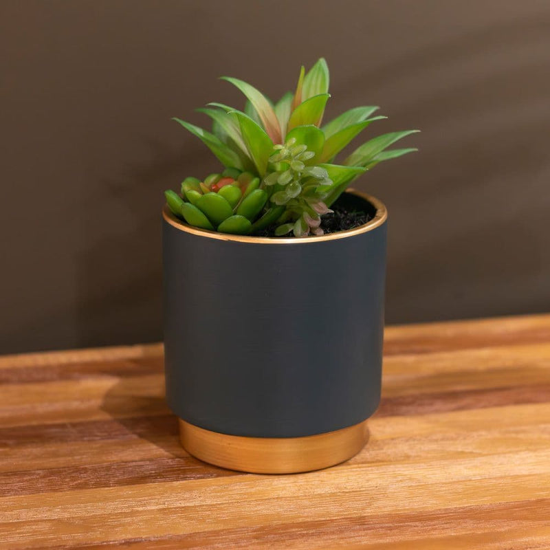 TARA Potted Succulent plant | Teal TL6579