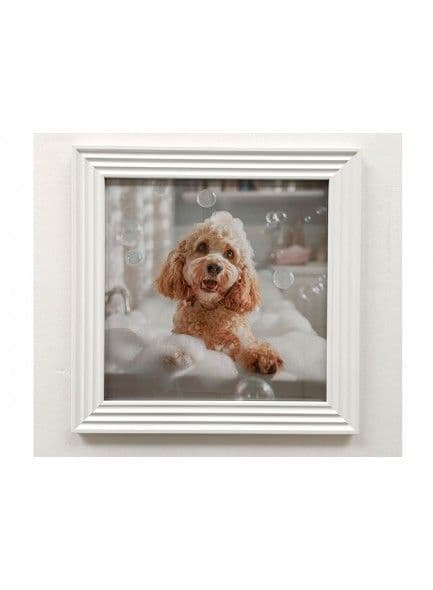 kirkwood The Stonewall Galle Framed Picture 40x40x1.7cm |  Bubblebath Dog   ZH53